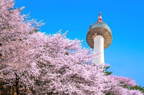 SEOUL - ĐẢO NAMI 6N5Đ: MỘNG MƠ GIỮA XỨ SỞ KIM CHI - Image 4