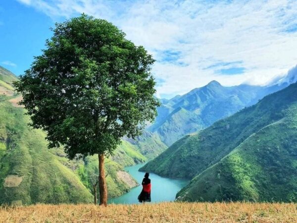 Thiện nguyện – Tà Xùa – Mộc Châu 4N4Đ: Mùa gió ấm